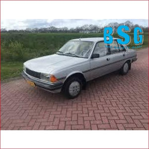 Peugeot 305 79-84 Windscreen - Windscreen